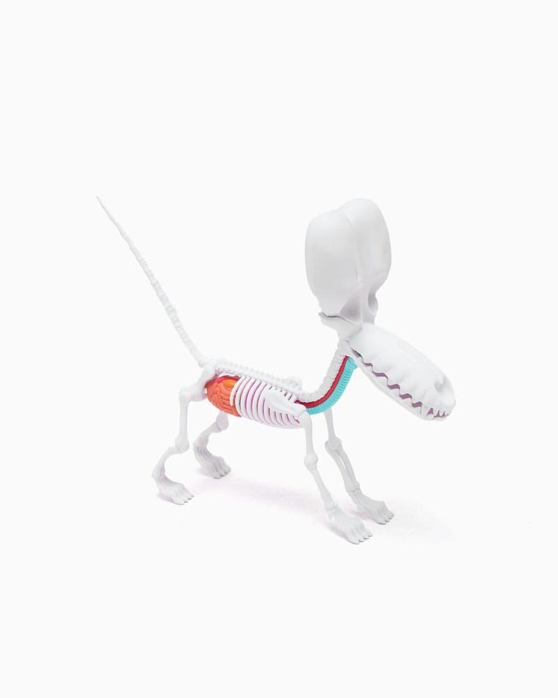 Funny Anatomy Honey Edition Balloon Dog Statue 0658215278785