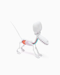 Funny Anatomy Honey Edition Balloon Dog Statue 0658215278785