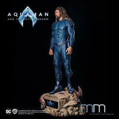 Aquaman (Lost Kingdom) Life-Size Statue Aquaman 230 cm 31997466
