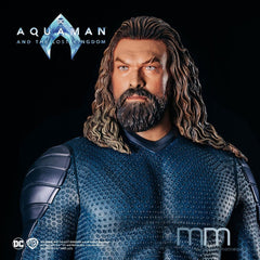 Aquaman (Lost Kingdom) Life-Size Statue Aquaman 230 cm 31997466
