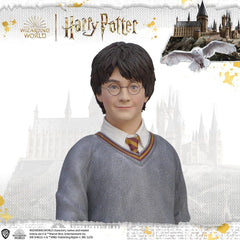 Harry Potter Life-Size Statue Harry Potter 174 cm 96224883222