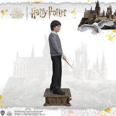Harry Potter Life-Size Statue Harry Potter 174 cm 0096224883222