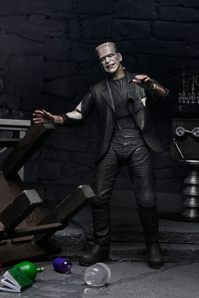 Universal Monsters Action Figures 2-Pack Bride of Frankenstein 90th Anniversary The Monster & His Mate 18 cm 0634482047460