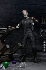 Universal Monsters Action Figures 2-Pack Bride of Frankenstein 90th Anniversary The Monster & His Mate 18 cm 0634482047460