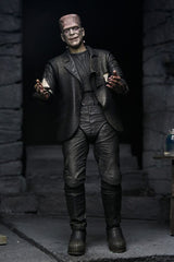 Universal Monsters Action Figures 2-Pack Bride of Frankenstein 90th Anniversary The Monster & His Mate 18 cm 0634482047460
