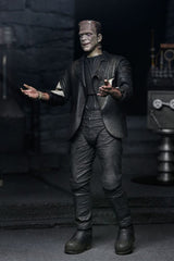 Universal Monsters Action Figures 2-Pack Bride of Frankenstein 90th Anniversary The Monster & His Mate 18 cm 634482 047460