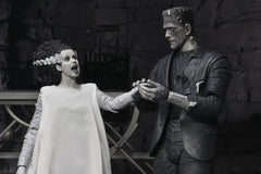 Universal Monsters 2-Pack Action Figure Bride of Frankenstein 90th Anniversary The Monster & His Mate (B&W) 18 cm 0634482047477