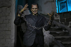 Universal Monsters Action Figure Ultimate Frankenstein's Monster (Color) 18 cm 0634482048047