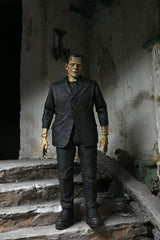 Universal Monsters Action Figure Ultimate Frankenstein's Monster (Color) 18 cm 0634482048047