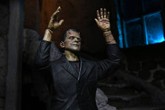Universal Monsters Action Figure Ultimate Frankenstein's Monster (Color) 18 cm 0634482048047