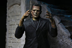 Universal Monsters Action Figure Ultimate Frankenstein's Monster (Color) 18 cm 0634482048047
