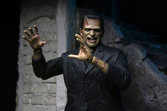 Universal Monsters Action Figure Ultimate Frankenstein's Monster (Color) 18 cm 0634482048047