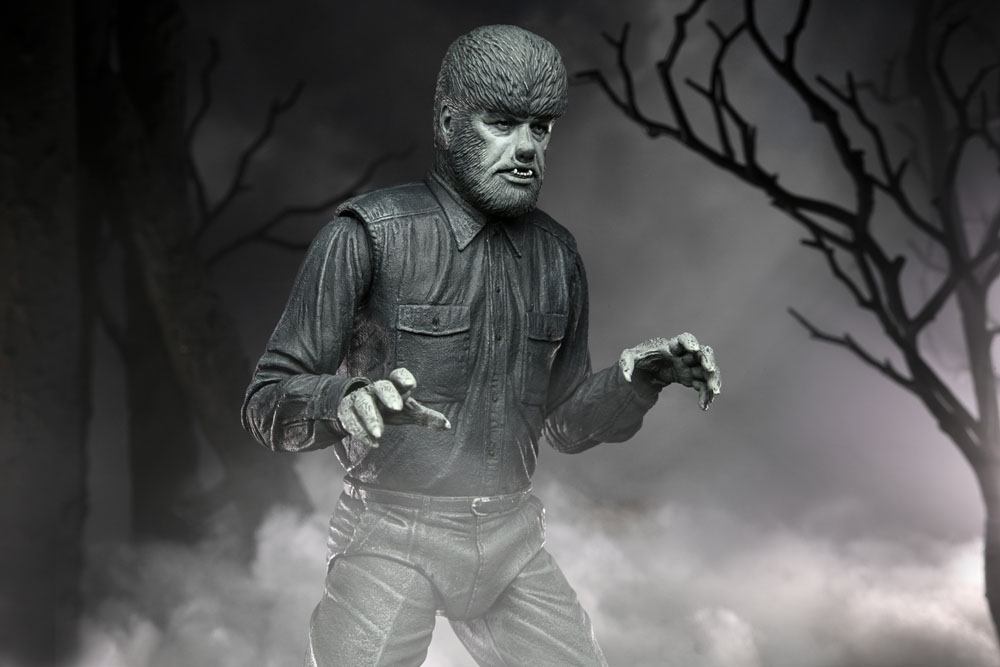 Universal Monsters Action Figure Ultimate The 0634482048108