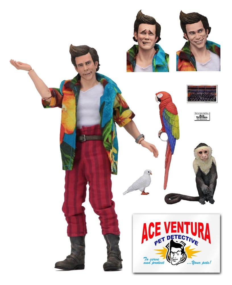 Ace Ventura Clothed Action Figure Ace Ventura 20 cm 0634482149744