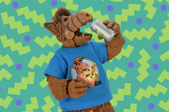 Alf Action Figure Ultimate Totally 80s Alf 15 cm 0634482451083