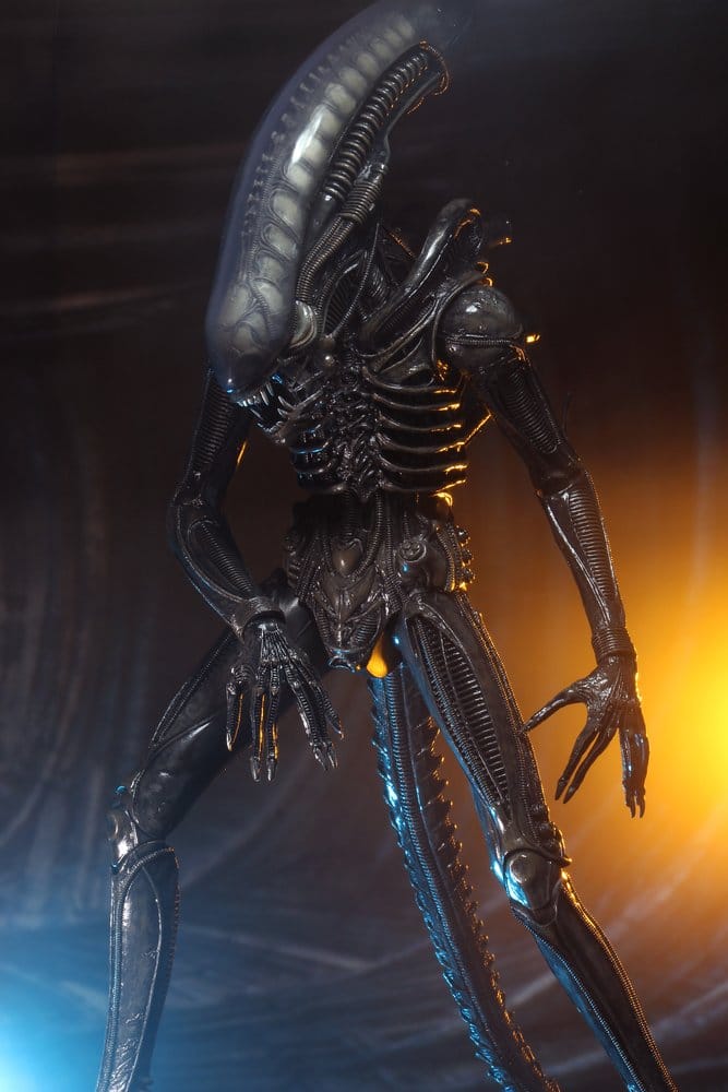 Alien 1/4 Actionfigur Big Chap 56 cmAlien 1/4 Action Figure Big Chap 56 cmAlien 1/4 figurine Big Chap 56 cmAlien 1/4 Figura Big Chap 56 cm 0634482515983