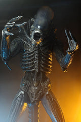 Alien 1/4 Actionfigur Big Chap 56 cmAlien 1/4 Action Figure Big Chap 56 cmAlien 1/4 figurine Big Chap 56 cmAlien 1/4 Figura Big Chap 56 cm 0634482515983