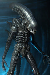 Alien 1/4 Actionfigur Big Chap 56 cmAlien 1/4 Action Figure Big Chap 56 cmAlien 1/4 figurine Big Chap 56 cmAlien 1/4 Figura Big Chap 56 cm 0634482515983