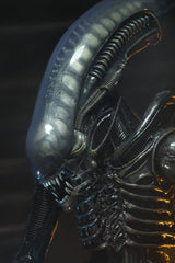 Alien 1/4 Actionfigur Big Chap 56 cmAlien 1/4 Action Figure Big Chap 56 cmAlien 1/4 figurine Big Chap 56 cmAlien 1/4 Figura Big Chap 56 cm 0634482515983