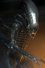 Alien 1/4 Actionfigur Big Chap 56 cmAlien 1/4 Action Figure Big Chap 56 cmAlien 1/4 figurine Big Chap 56 cmAlien 1/4 Figura Big Chap 56 cm 0634482515983