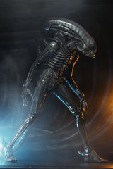 Alien 1/4 Actionfigur Big Chap 56 cmAlien 1/4 Action Figure Big Chap 56 cmAlien 1/4 figurine Big Chap 56 cmAlien 1/4 Figura Big Chap 56 cm 0634482515983