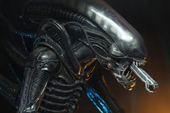 Alien 1/4 Actionfigur Big Chap 56 cmAlien 1/4 Action Figure Big Chap 56 cmAlien 1/4 figurine Big Chap 56 cmAlien 1/4 Figura Big Chap 56 cm 0634482515983