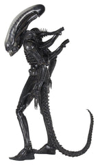 Alien 1/4 Actionfigur Big Chap 56 cmAlien 1/4 Action Figure Big Chap 56 cmAlien 1/4 figurine Big Chap 56 cmAlien 1/4 Figura Big Chap 56 cm 0634482515983