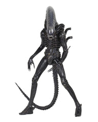 Alien 1979 Action Figure 1/4 Ultimate 40th Anniversary Big Chap 56 cm 0634482515983