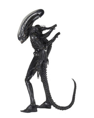 Alien 1979 Action Figure 1/4 Ultimate 40th Anniversary Big Chap 56 cm 0634482515983