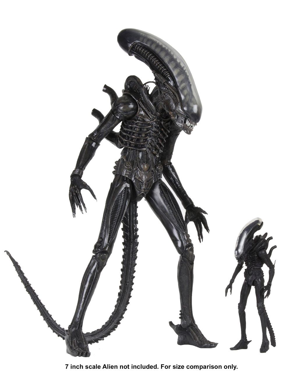 Alien 1979 Action Figure 1/4 Ultimate 40th Anniversary Big Chap 56 cm 0634482515983