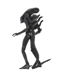 Alien 1979 Action Figure Ultimate 40th Anniversary Big Chap 23 cm 0634482516461