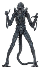 Aliens Ultimate Actionfigur Warrior (1986) Blue 23 cmAliens Ultimate Action Figure Warrior (1986) Blue 23 cmAliens Ultimate figurine Warrior (1986) Blue 23 cmAliens Ultimate Figura Warrior (1986) Blue 23 cm 0634482516478