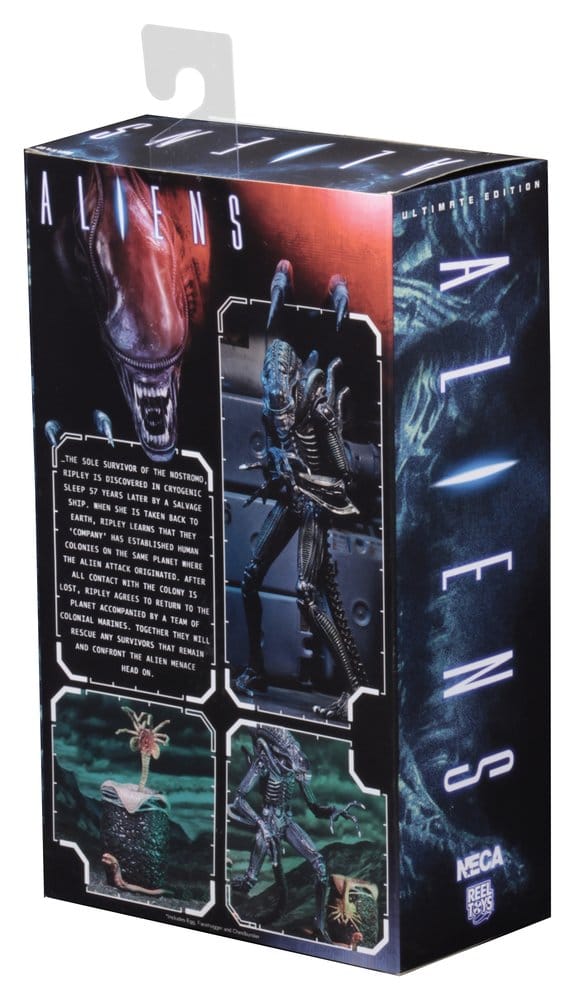 Aliens Ultimate Actionfigur Warrior (1986) Blue 23 cmAliens Ultimate Action Figure Warrior (1986) Blue 23 cmAliens Ultimate figurine Warrior (1986) Blue 23 cmAliens Ultimate Figura Warrior (1986) Blue 23 cm 0634482516478