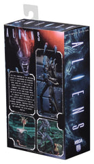 Aliens Ultimate Actionfigur Warrior (1986) Blue 23 cmAliens Ultimate Action Figure Warrior (1986) Blue 23 cmAliens Ultimate figurine Warrior (1986) Blue 23 cmAliens Ultimate Figura Warrior (1986) Blue 23 cm 0634482516478