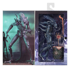 Aliens Ultimate Actionfigur Warrior (1986) Blue 23 cmAliens Ultimate Action Figure Warrior (1986) Blue 23 cmAliens Ultimate figurine Warrior (1986) Blue 23 cmAliens Ultimate Figura Warrior (1986) Blue 23 cm 0634482516478