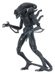 Aliens Ultimate Actionfigur Warrior (1986) Blue 23 cmAliens Ultimate Action Figure Warrior (1986) Blue 23 cmAliens Ultimate figurine Warrior (1986) Blue 23 cmAliens Ultimate Figura Warrior (1986) Blue 23 cm 0634482516478