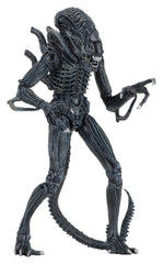Aliens Ultimate Actionfigur Warrior (1986) Blue 23 cmAliens Ultimate Action Figure Warrior (1986) Blue 23 cmAliens Ultimate figurine Warrior (1986) Blue 23 cmAliens Ultimate Figura Warrior (1986) Blue 23 cm 0634482516478