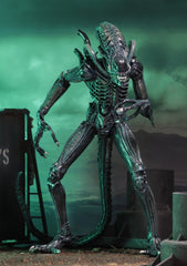 Aliens Ultimate Actionfigur Warrior (1986) Blue 23 cmAliens Ultimate Action Figure Warrior (1986) Blue 23 cmAliens Ultimate figurine Warrior (1986) Blue 23 cmAliens Ultimate Figura Warrior (1986) Blue 23 cm 0634482516478