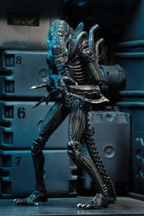 Aliens Ultimate Actionfigur Warrior (1986) Blue 23 cmAliens Ultimate Action Figure Warrior (1986) Blue 23 cmAliens Ultimate figurine Warrior (1986) Blue 23 cmAliens Ultimate Figura Warrior (1986) Blue 23 cm 0634482516478