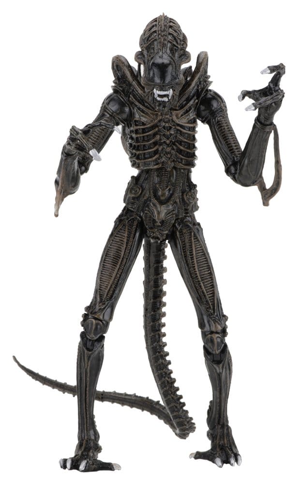 Aliens Ultimate Actionfigur Warrior (1986) Brown 23 cmAliens Ultimate Action Figure Warrior (1986) Brown 23 cmAliens Ultimate figurine Warrior (1986) Brown 23 cmAliens Ultimate Figura Warrior (1986) Brown 23 cm 0634482516836