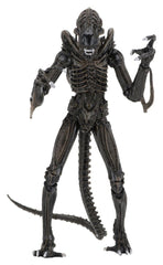 Aliens Ultimate Actionfigur Warrior (1986) Brown 23 cmAliens Ultimate Action Figure Warrior (1986) Brown 23 cmAliens Ultimate figurine Warrior (1986) Brown 23 cmAliens Ultimate Figura Warrior (1986) Brown 23 cm 0634482516836