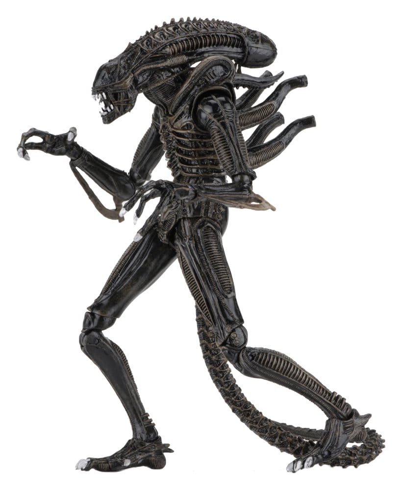 Aliens Ultimate Actionfigur Warrior (1986) Brown 23 cmAliens Ultimate Action Figure Warrior (1986) Brown 23 cmAliens Ultimate figurine Warrior (1986) Brown 23 cmAliens Ultimate Figura Warrior (1986) Brown 23 cm 0634482516836