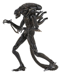 Aliens Ultimate Actionfigur Warrior (1986) Brown 23 cmAliens Ultimate Action Figure Warrior (1986) Brown 23 cmAliens Ultimate figurine Warrior (1986) Brown 23 cmAliens Ultimate Figura Warrior (1986) Brown 23 cm 0634482516836