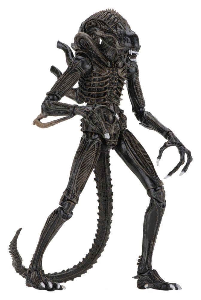 Aliens Ultimate Actionfigur Warrior (1986) Brown 23 cmAliens Ultimate Action Figure Warrior (1986) Brown 23 cmAliens Ultimate figurine Warrior (1986) Brown 23 cmAliens Ultimate Figura Warrior (1986) Brown 23 cm 0634482516836