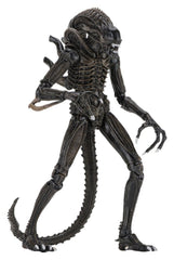 Aliens Ultimate Actionfigur Warrior (1986) Brown 23 cmAliens Ultimate Action Figure Warrior (1986) Brown 23 cmAliens Ultimate figurine Warrior (1986) Brown 23 cmAliens Ultimate Figura Warrior (1986) Brown 23 cm 0634482516836