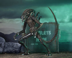 Aliens Ultimate Actionfigur Warrior (1986) Brown 23 cmAliens Ultimate Action Figure Warrior (1986) Brown 23 cmAliens Ultimate figurine Warrior (1986) Brown 23 cmAliens Ultimate Figura Warrior (1986) Brown 23 cm 0634482516836