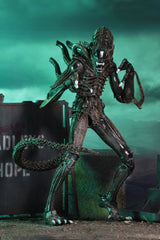 Aliens Ultimate Actionfigur Warrior (1986) Brown 23 cmAliens Ultimate Action Figure Warrior (1986) Brown 23 cmAliens Ultimate figurine Warrior (1986) Brown 23 cmAliens Ultimate Figura Warrior (1986) Brown 23 cm 0634482516836