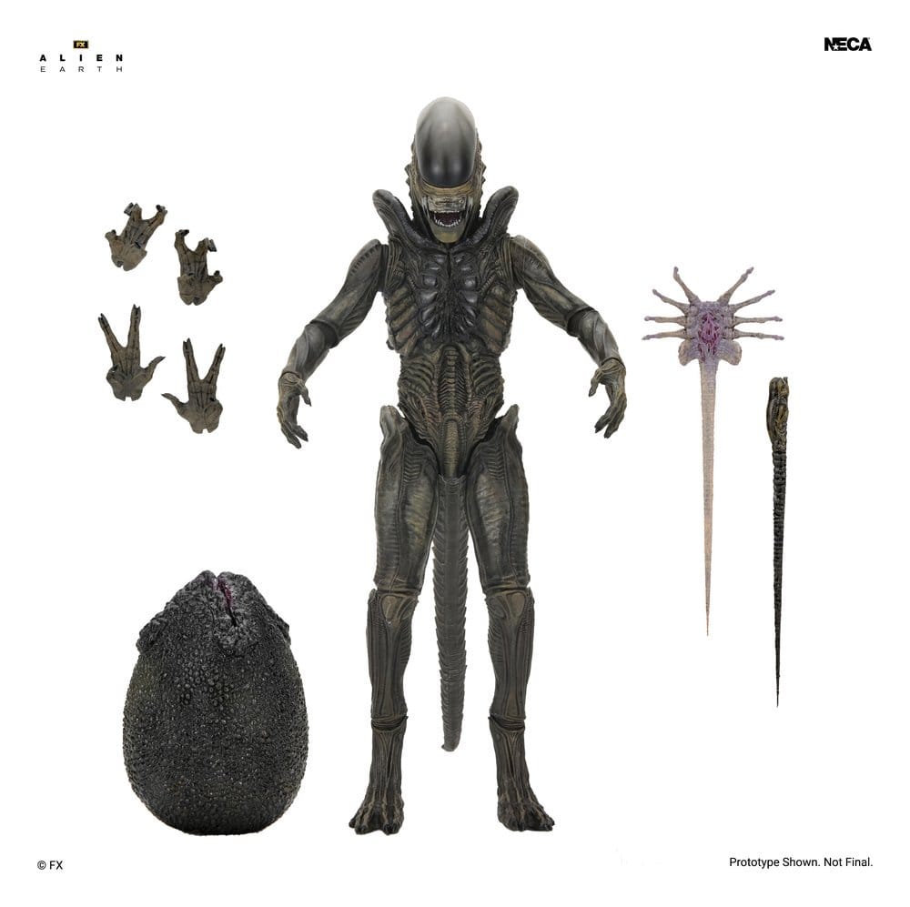 Alien: Earth Ultimate Action Figure Xenomorph 18 cm 0634482517567