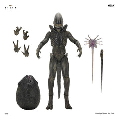 Alien: Earth Ultimate Action Figure Xenomorph 18 cm 0634482517567