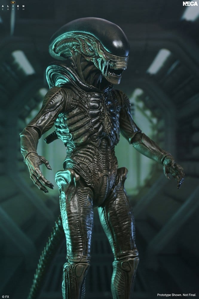 Alien: Earth Ultimate Action Figure Xenomorph 18 cm 0634482517567